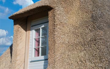 Sandridge thatch roof disadvantages